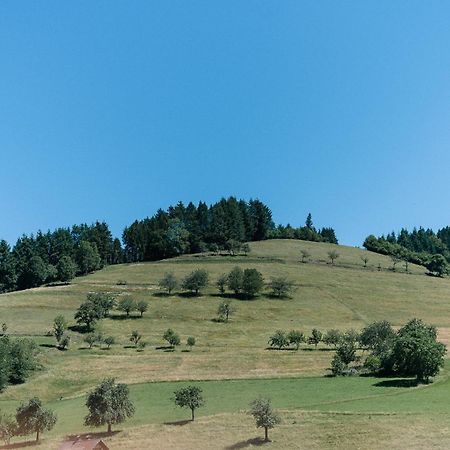 Moderne 2 Zi.-Fewo Blackforest Art Barrierefrei Naehe Freiburg Simonswald Kültér fotó