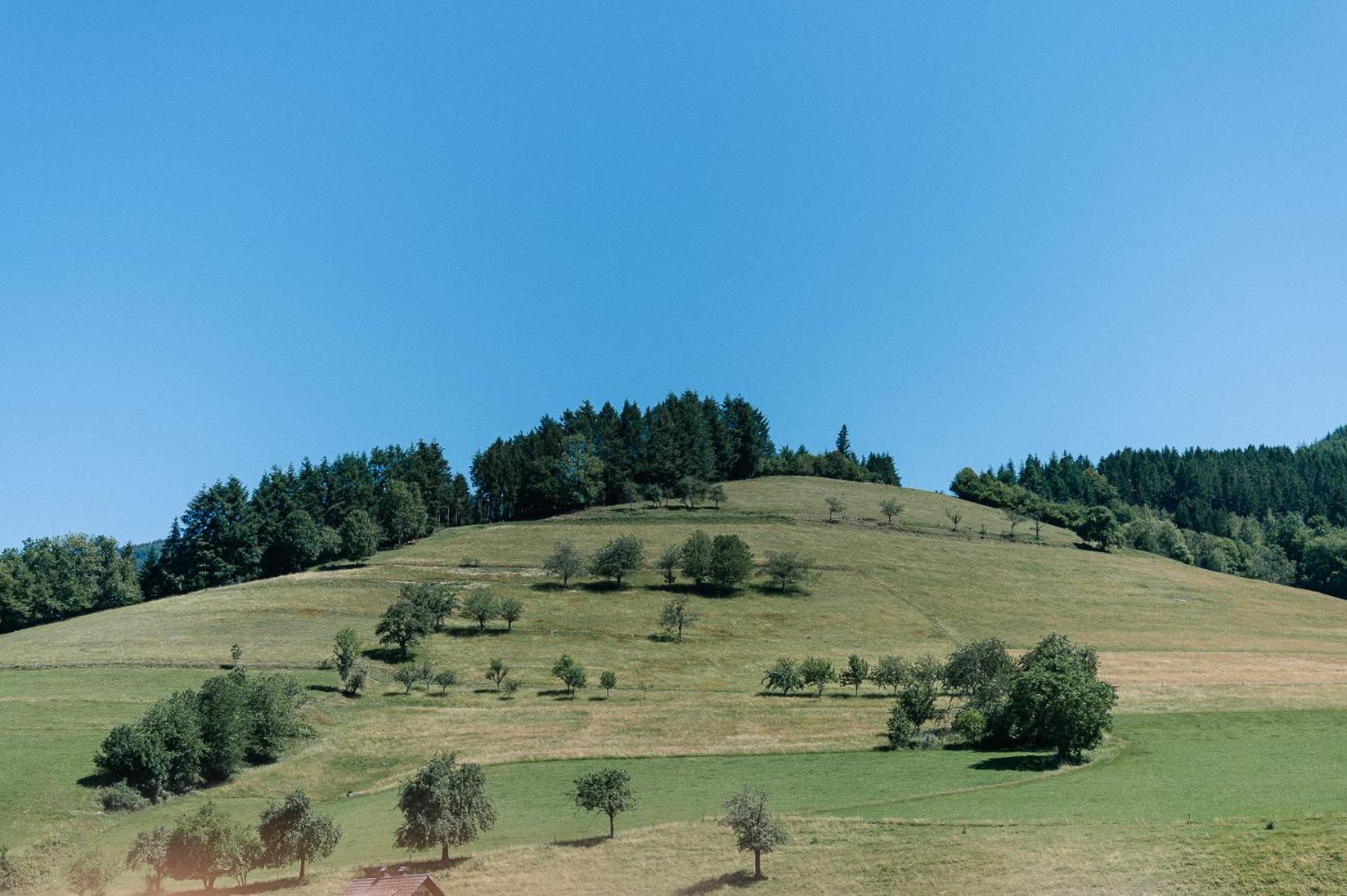 Moderne 2 Zi.-Fewo Blackforest Art Barrierefrei Naehe Freiburg Simonswald Kültér fotó