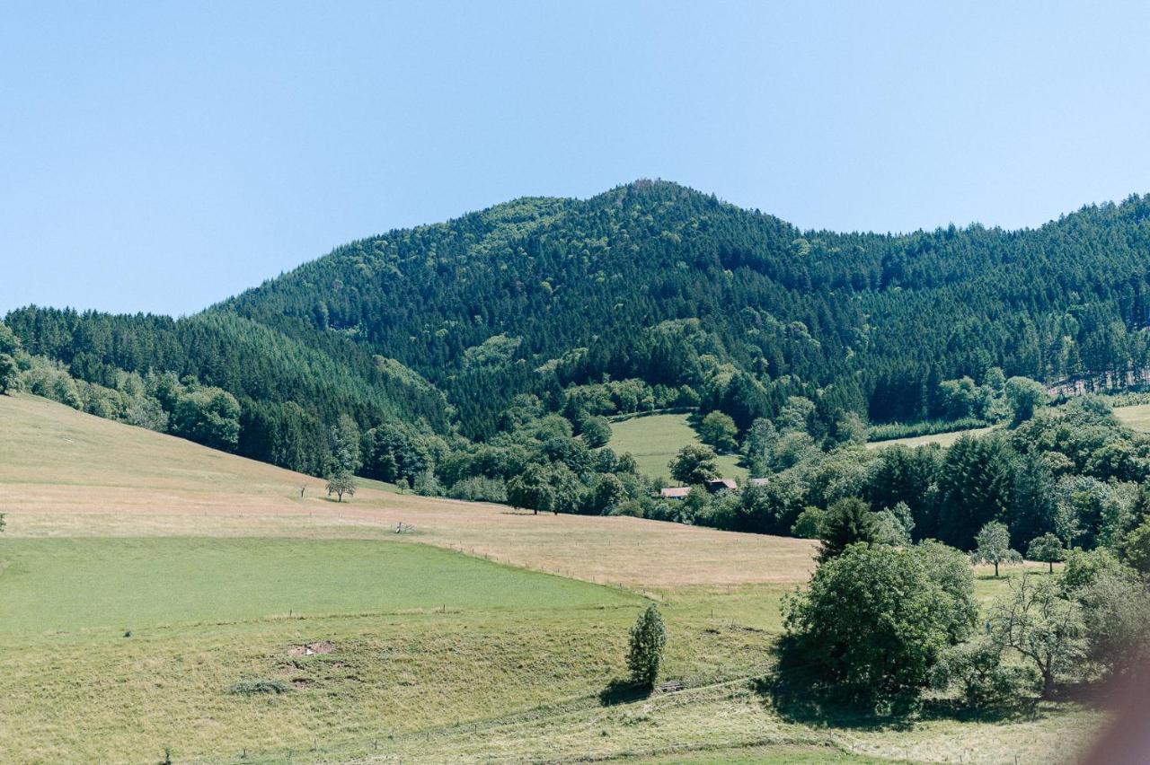 Moderne 2 Zi.-Fewo Blackforest Art Barrierefrei Naehe Freiburg Simonswald Kültér fotó